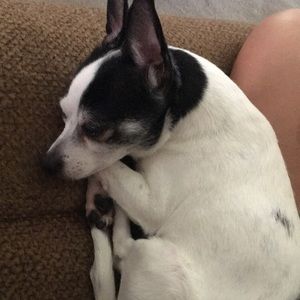 Meet your Posher, Leah